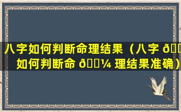 八字如何判断命理结果（八字 🌺 如何判断命 🐼 理结果准确）